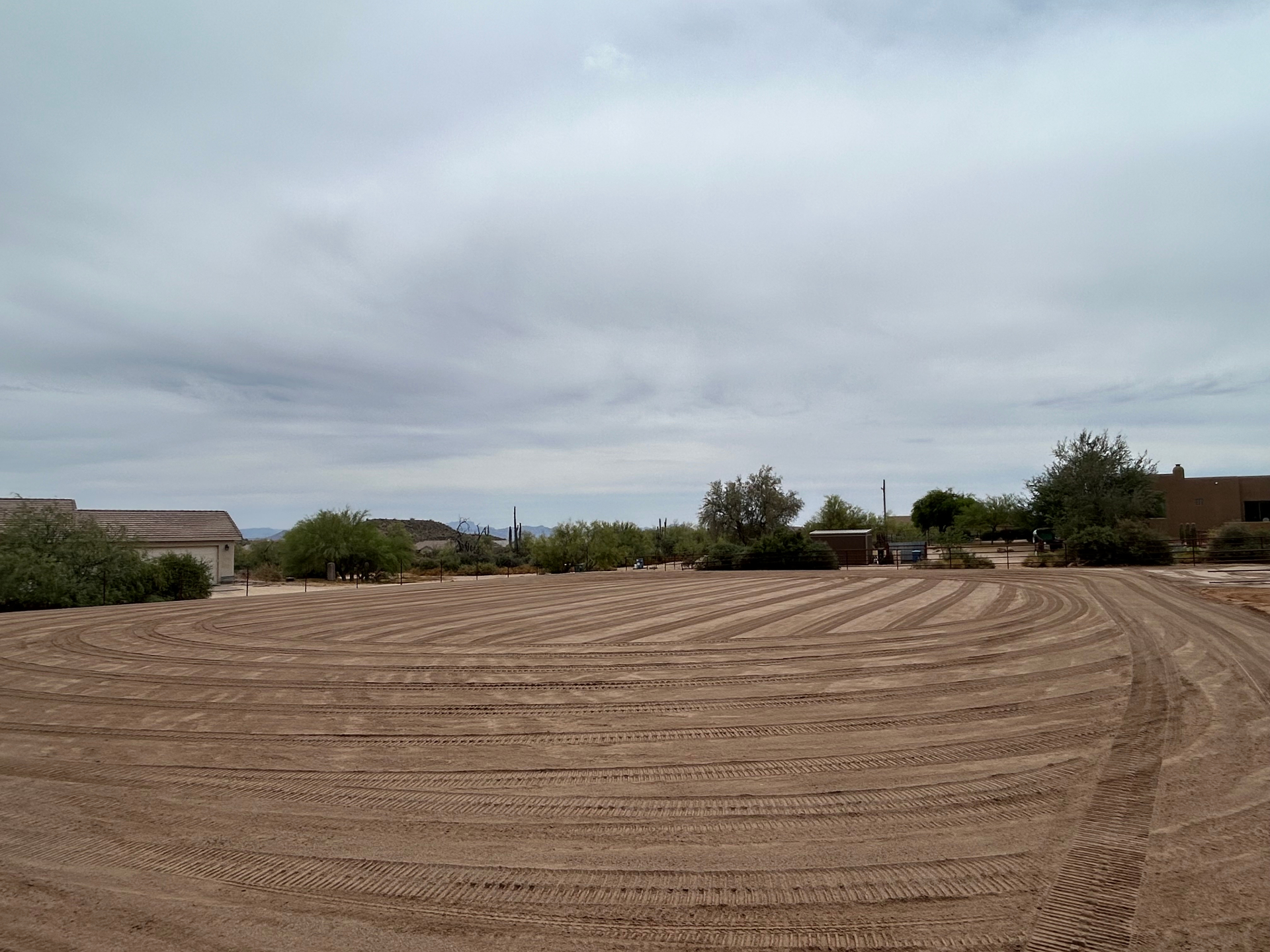 Close-up of arena footing texture showing material condition