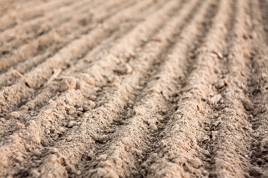 Arena drag grooming dust-free footing
