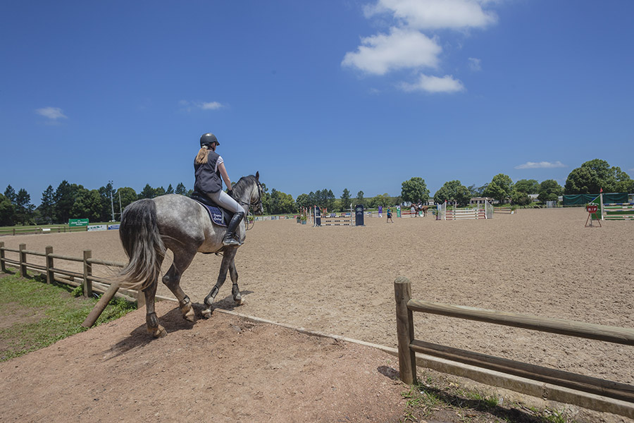 5 Arena Upgrades That Improve Horse Performance | Performance Footing
