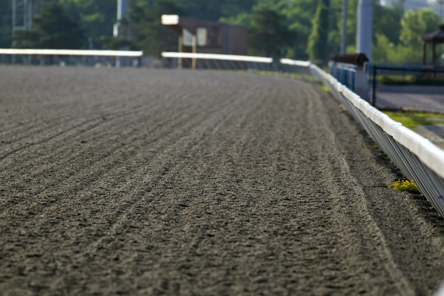 Arena Footing Solutions for Hot and Dry Climates | Equestrian Footing