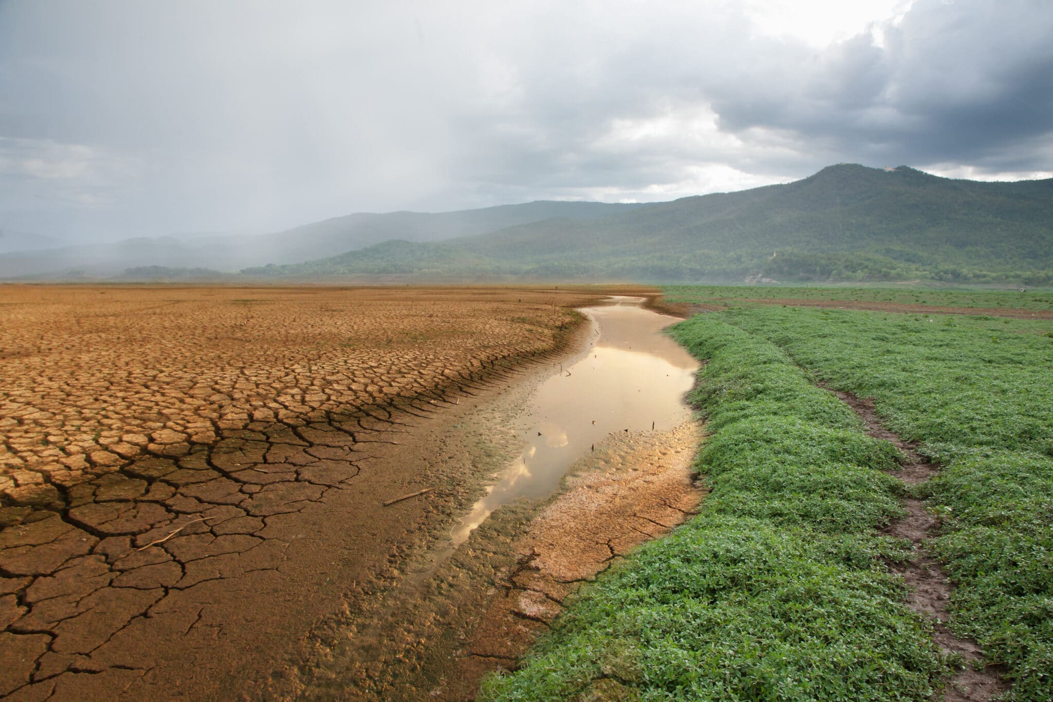 Horse arena climate