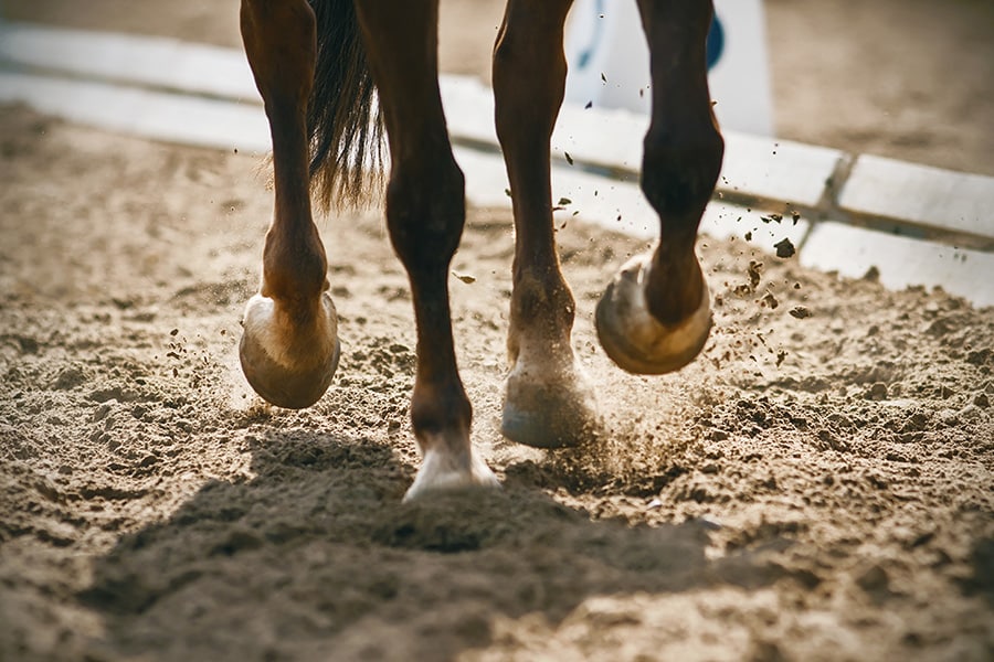 Compaction Testing for Arena Bases: A Complete Guide
