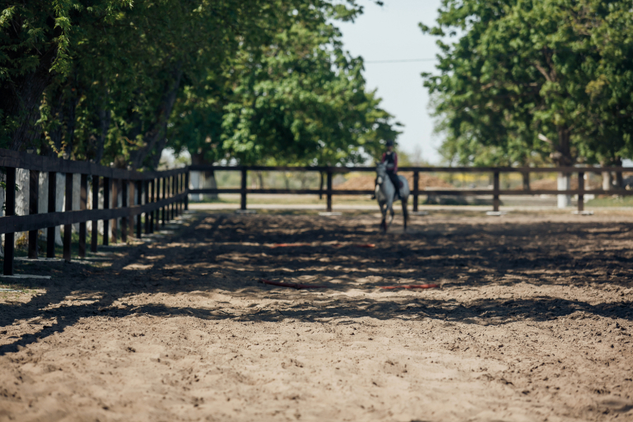 Eco-Friendly Arena Footing Materials | Performance Footing