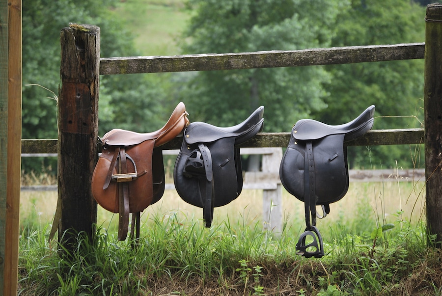 Horse Biomechanics: Understanding Horse Movement | Footing Solutions
