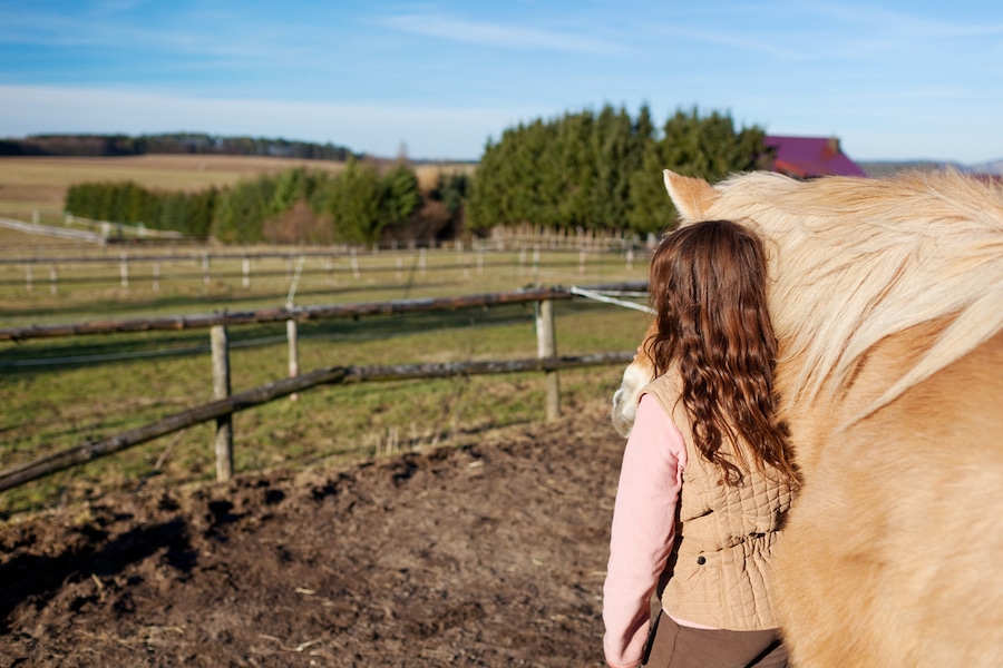 How to Build a Round Pen for Horses | Performance Footing