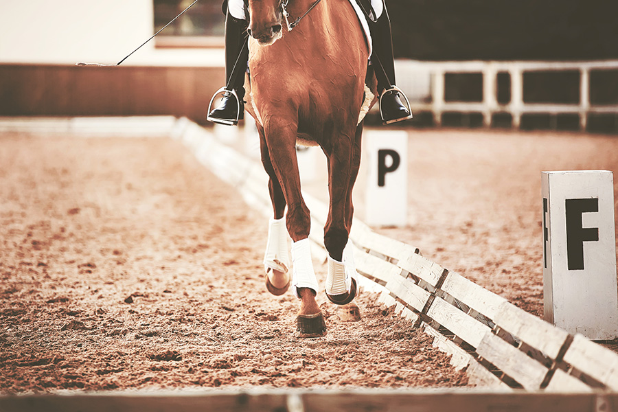 Self‑Watering Horse Arena Solutions | Performance Footing