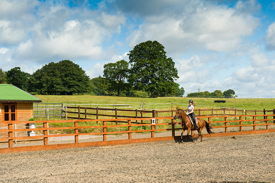 Stabilizing Your Paddock with Geocell | Performance Footing