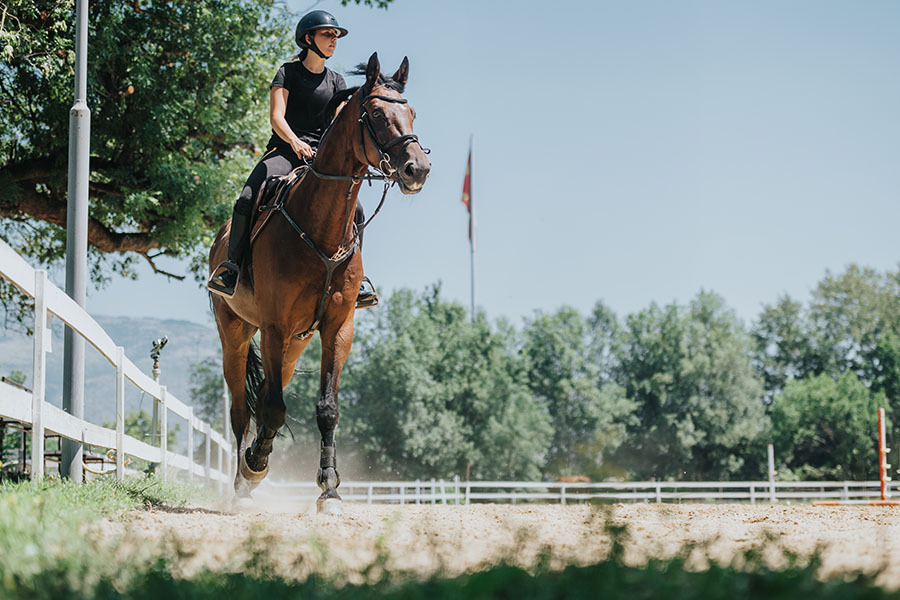 Your Arena Footing Guide By Discipline | Performance Footing