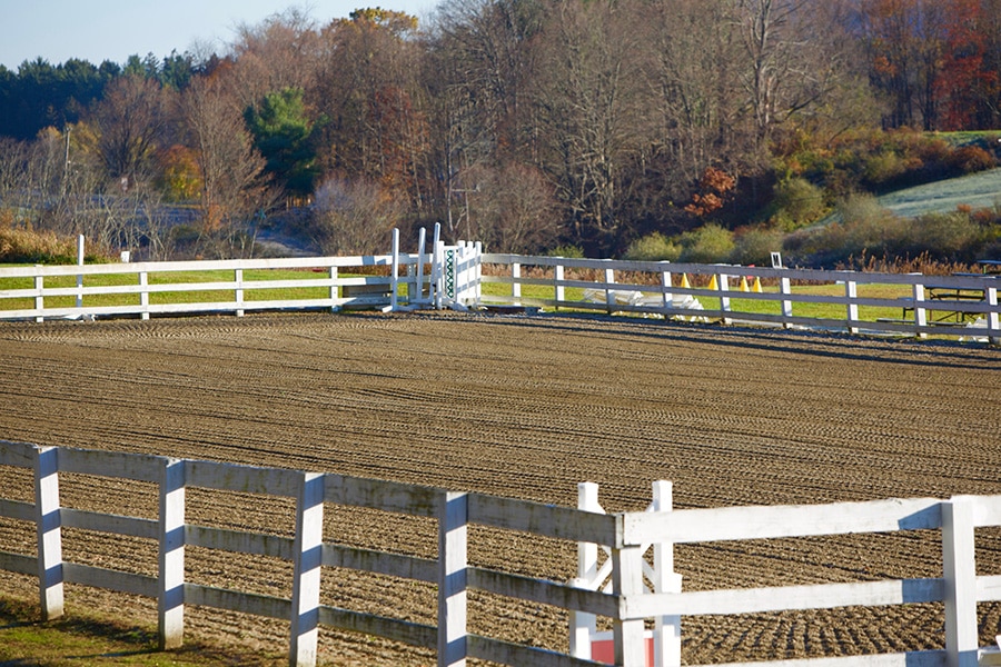 What are the Best Horse Arena Footing Additives | Performance Footing