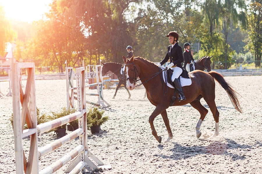Best Arena Groomers For Horse Arenas | Performance Footing