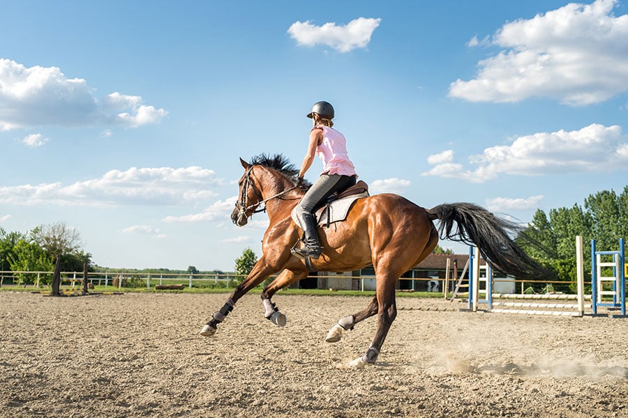 Benefits of Footing for Horse Training Facility | Performance Footing