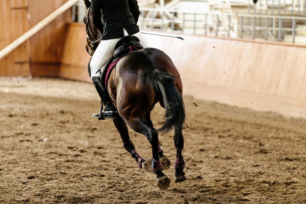 Horse Arena Sand Depth