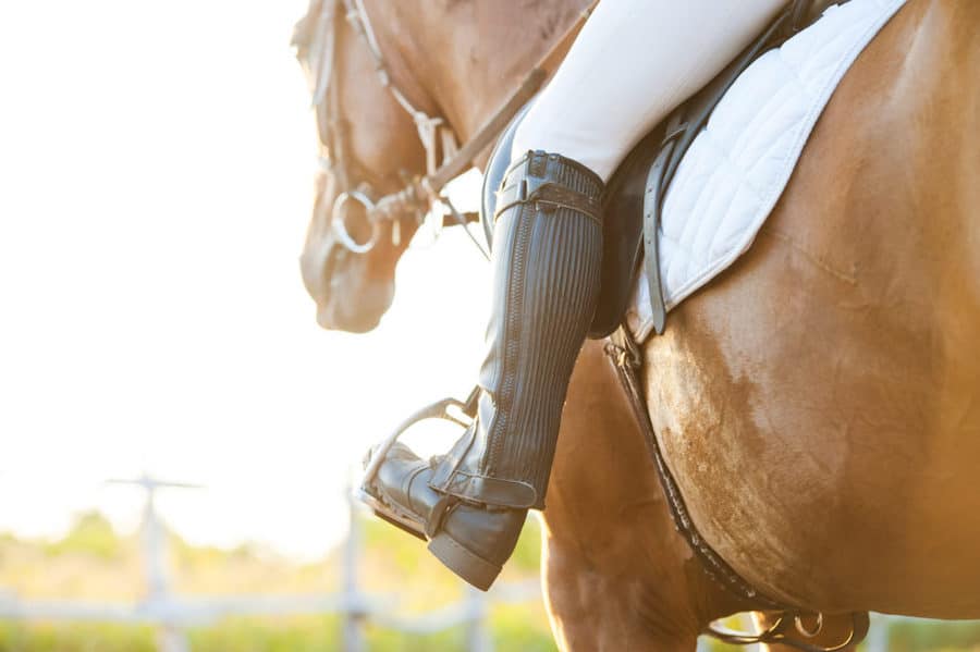 A close up of a horse's leg with horse arena footing materials.