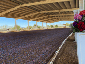 An equestrian arena with FoamFooting™ filled with purple flowers.