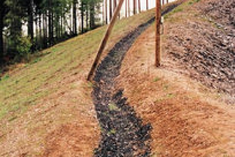 An embankment with trees and a dirt path.