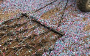 Confetti confetti confetti confetti confetti confetti confetti confetti confetti confetti.