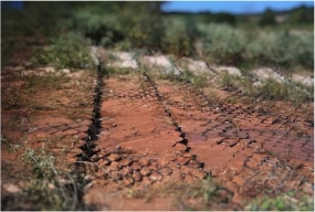 Mud Prevention