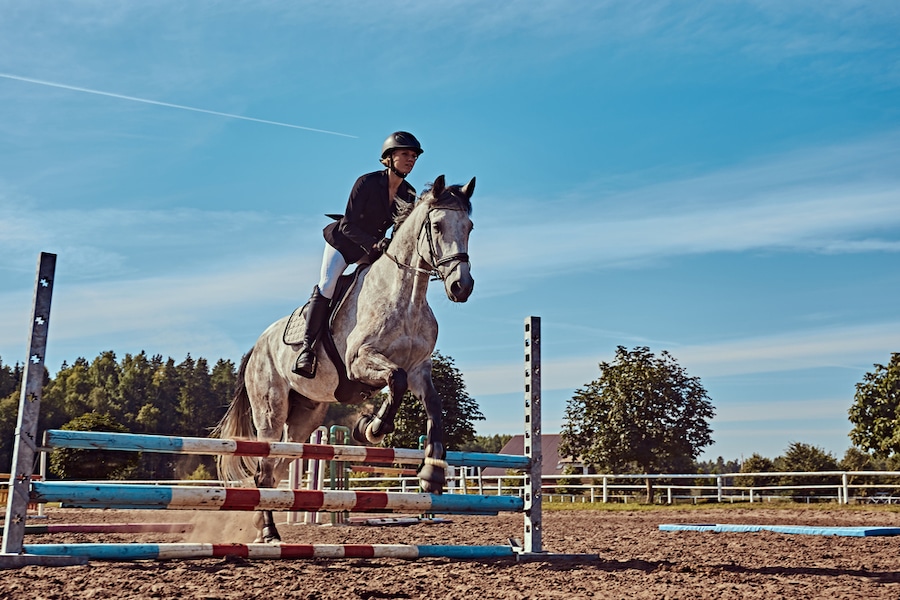 Best-Footing-For-Horse-Arenas