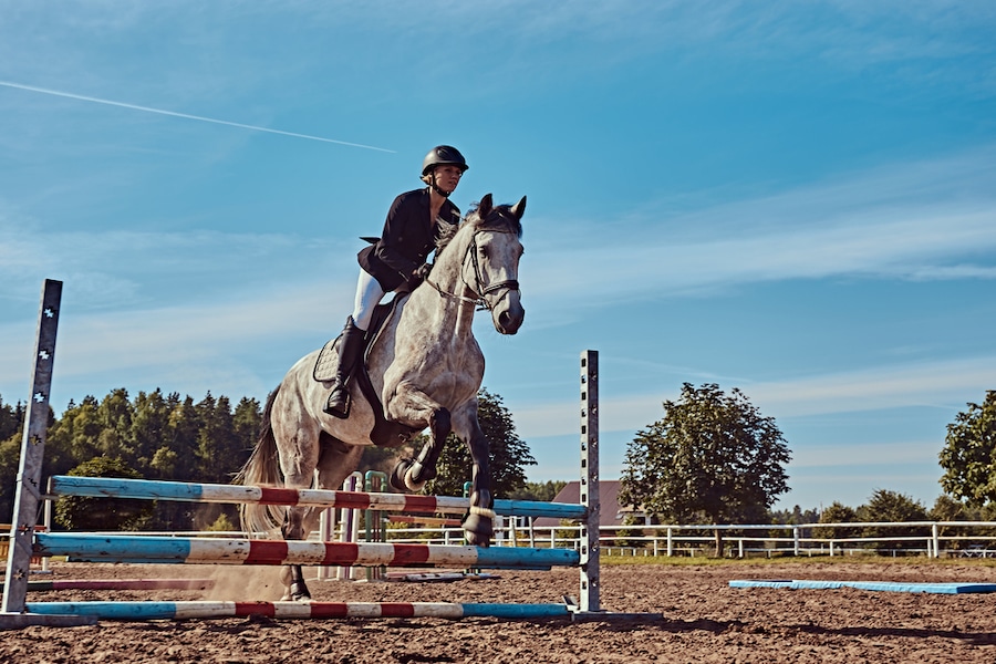 Mixing The Best Footing For Horse Arenas - Featured Image