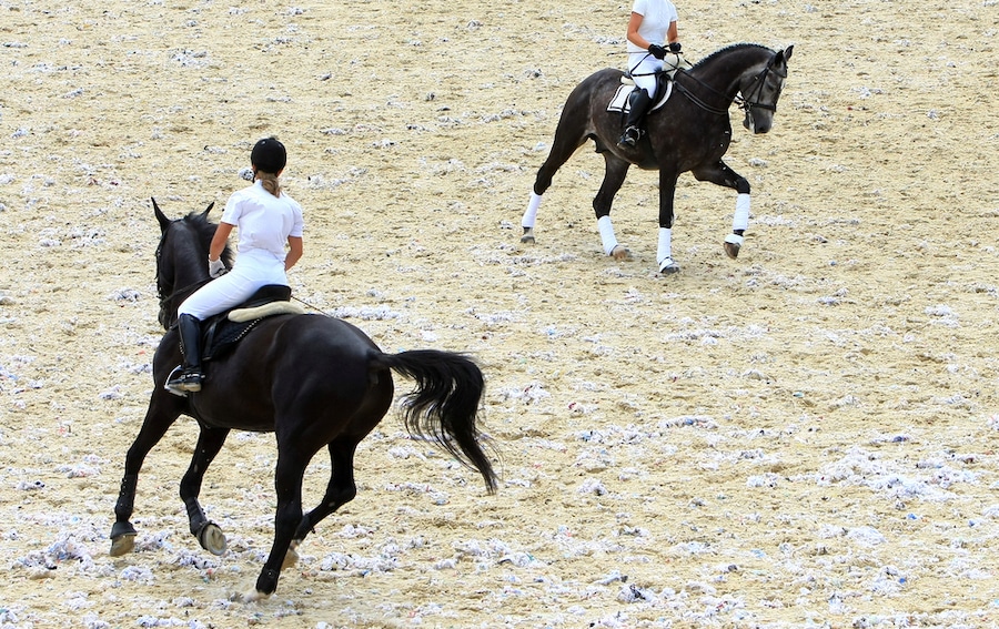 Two people riding horses in a sand arena, comparing Foam Footing and GGT Footing.