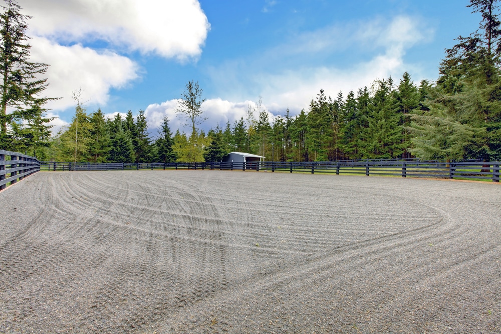 Equine Arena Grooming Equipment