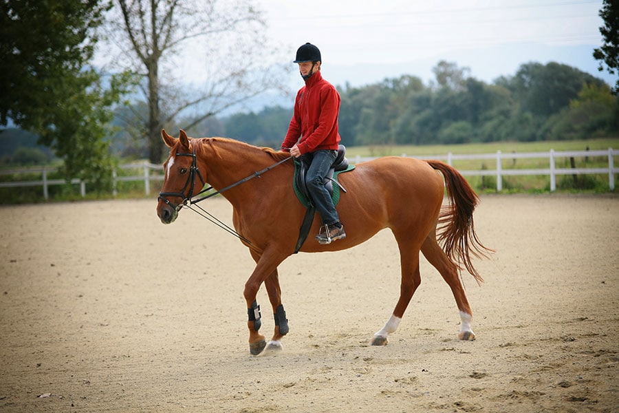 How to Build an Outdoor Horse Arena - Featured Image