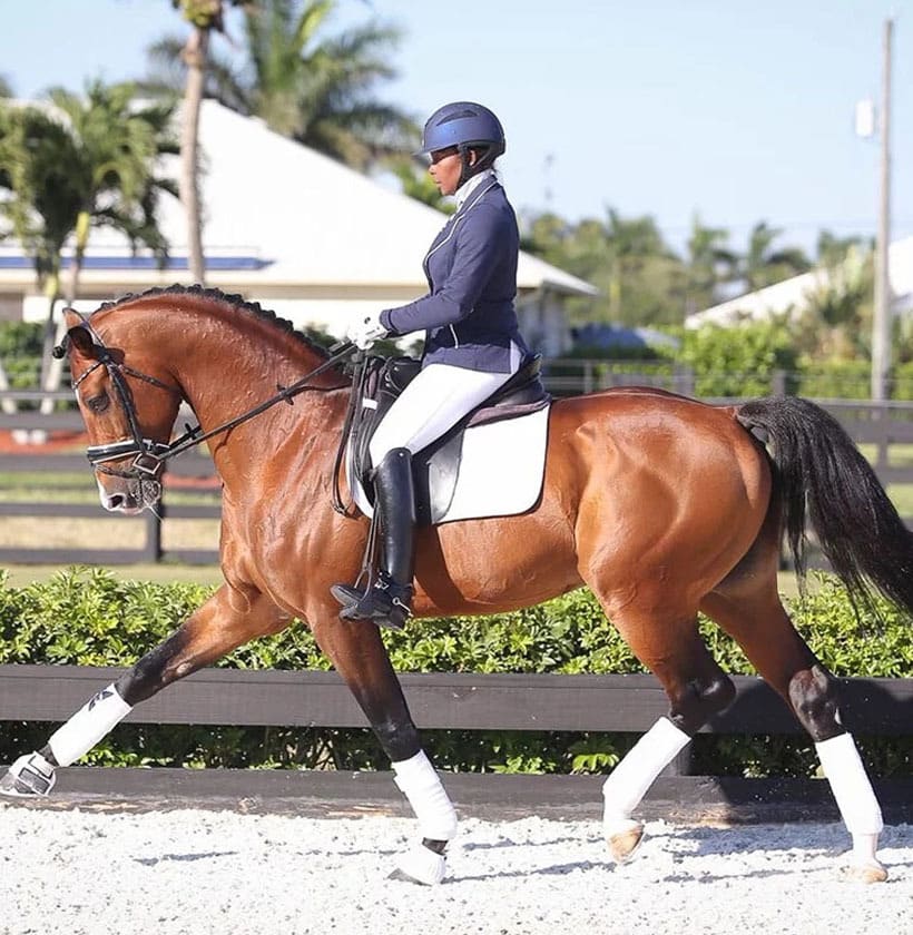 dressage blend GGT dressage blend GGT