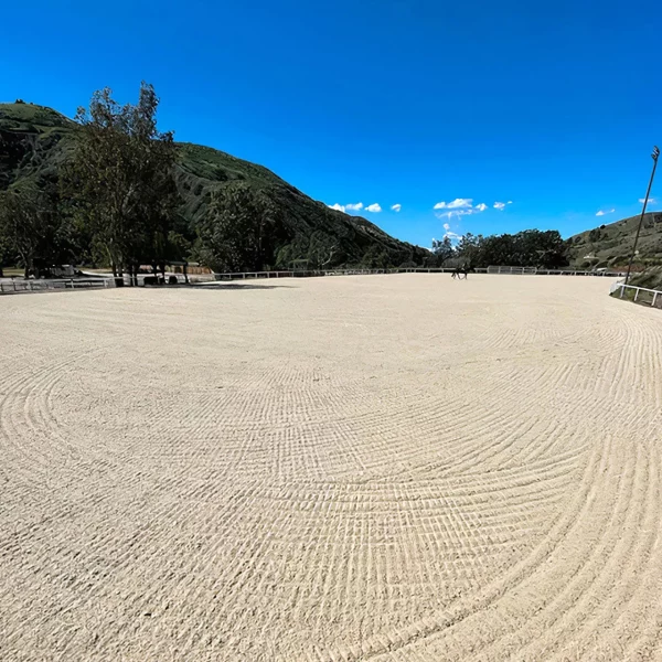 Arena Green