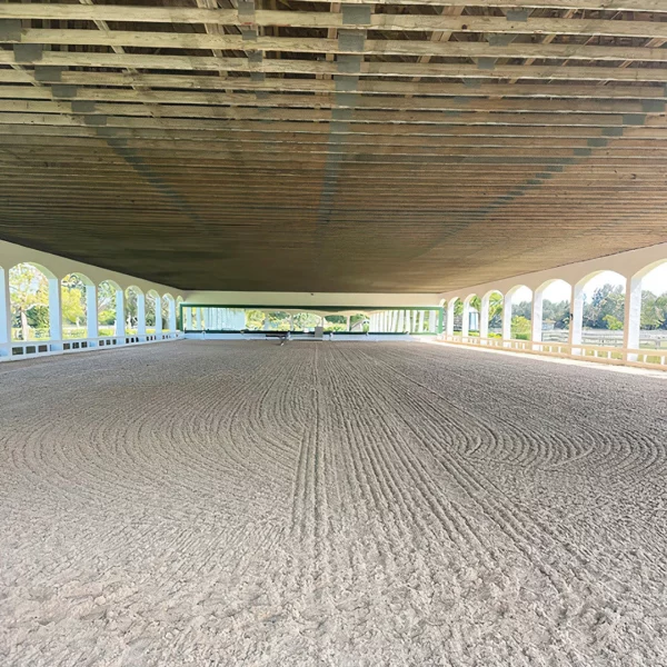 Arena Green