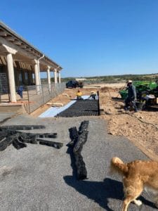 A dog is standing in front of a construction site, creating an arena-like atmosphere.