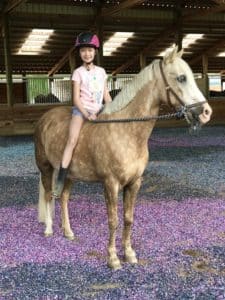 A young girl riding a horse in an indoor arena.