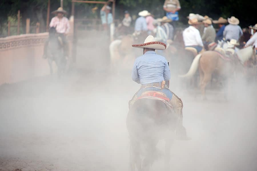 Horse Arena Dust Control: Solutions for Horse Owners - Featured Image