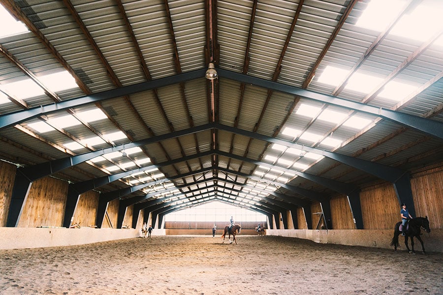 Factors to Consider When Building a Horse Arena - Featured Image