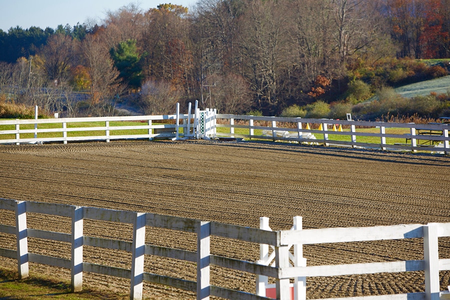 What are the Best Horse Arena Footing Additives