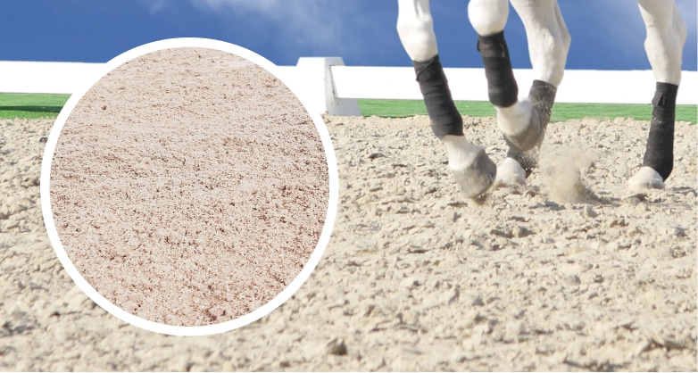 An image of a horse's feet in dust-free sand.