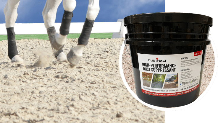 Dust-Free Horse Arena Footing