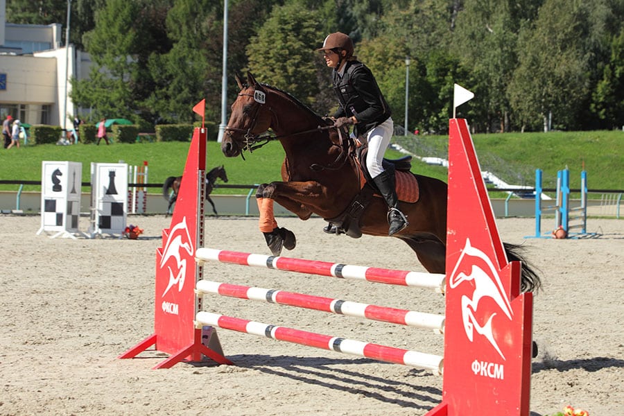 Horse Show Arena Footing for Jumping - Featured Image