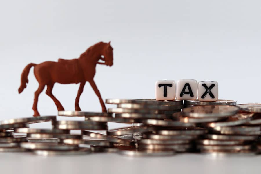 tax benefits horse ownership