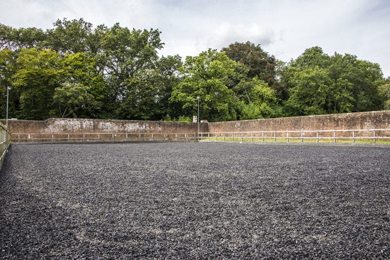 Pros And Cons Of Rubber Mulch Performance Footing