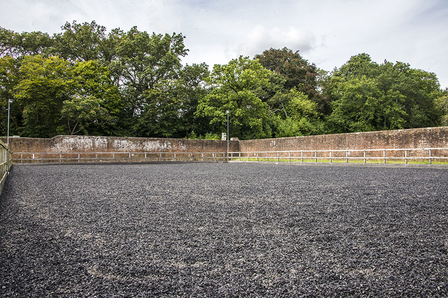 Pros And Cons Of Rubber Mulch: How To Pick The Best Equestrian Arena Footing - Featured Image