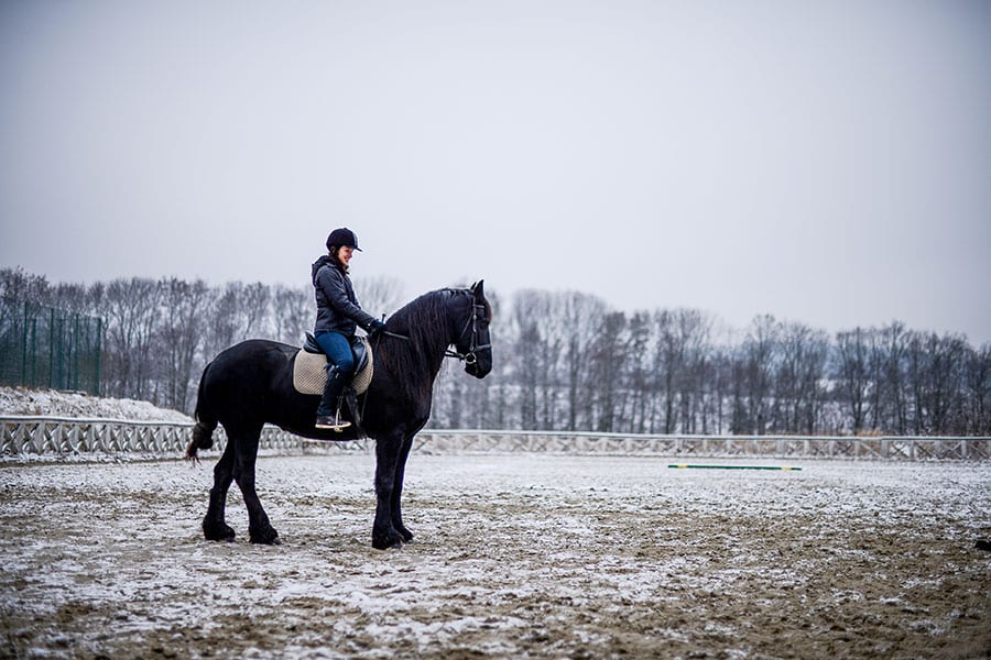 how to keep outdoor arena from freezing