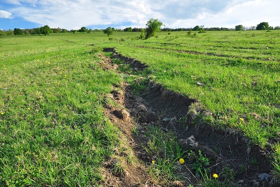 erosion control in pastures