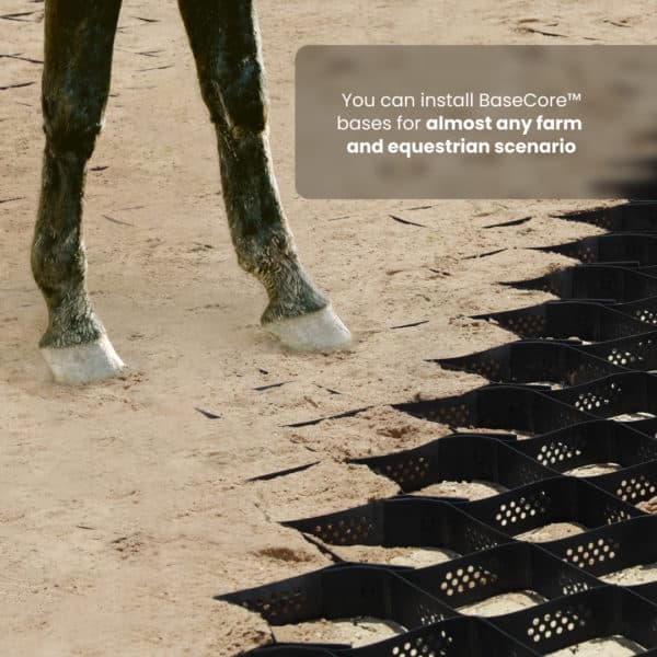 An image of a horse's feet standing in a sand area.