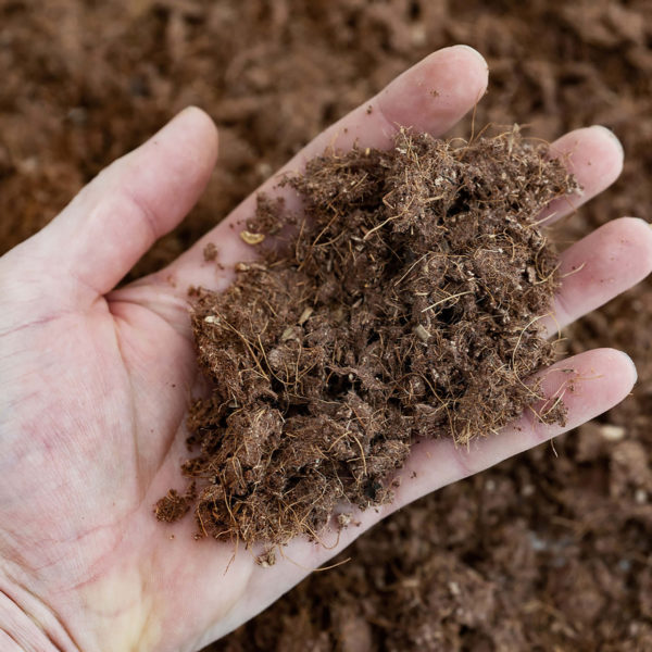A person's hand holding a pile of dirt, enriched with Noviun Fiber and Elastomer Horse Footing.