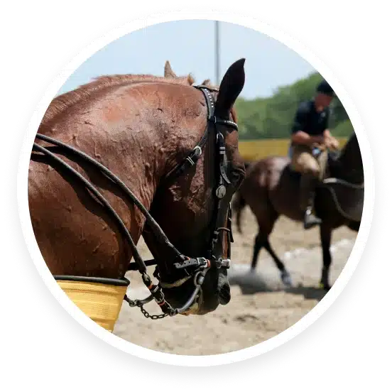 A man is riding a horse in an arena. A man is riding a horse in an arena.