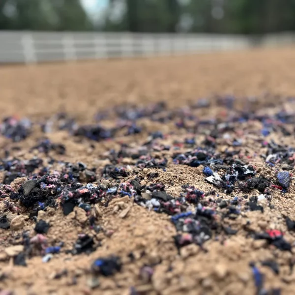 A horse grazes on a pile of Levitare.