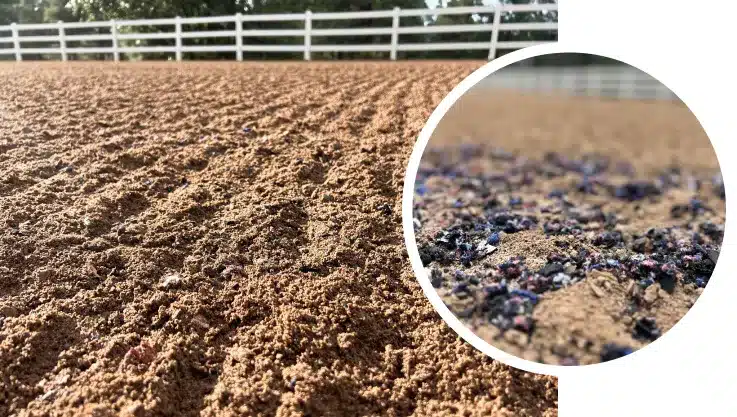 Levitare - Arena Footing - Image_11zon Levitare - Arena Footing - Image_11zon