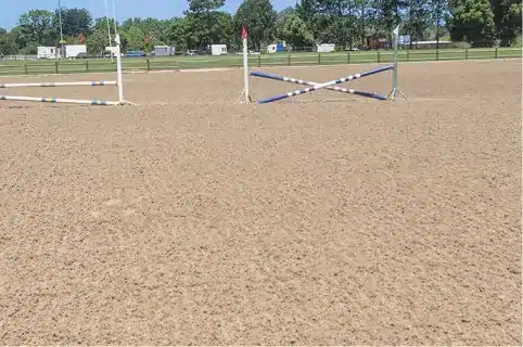 An equestrian arena with a few fences.