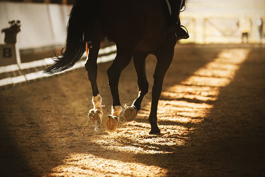 selecting arena footing additives