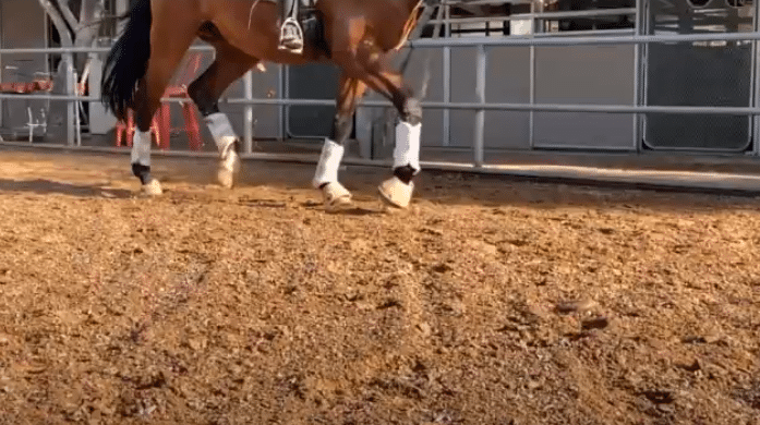 Why Good Arena Footing is Essential for Performance and Soundness 